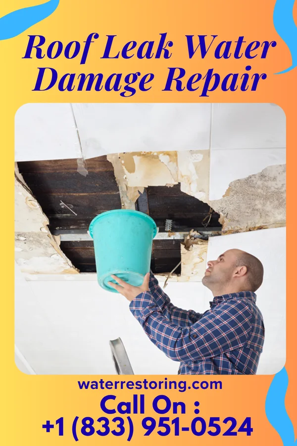 Roof Leak Water Damage Repair in Jacksonville, FL